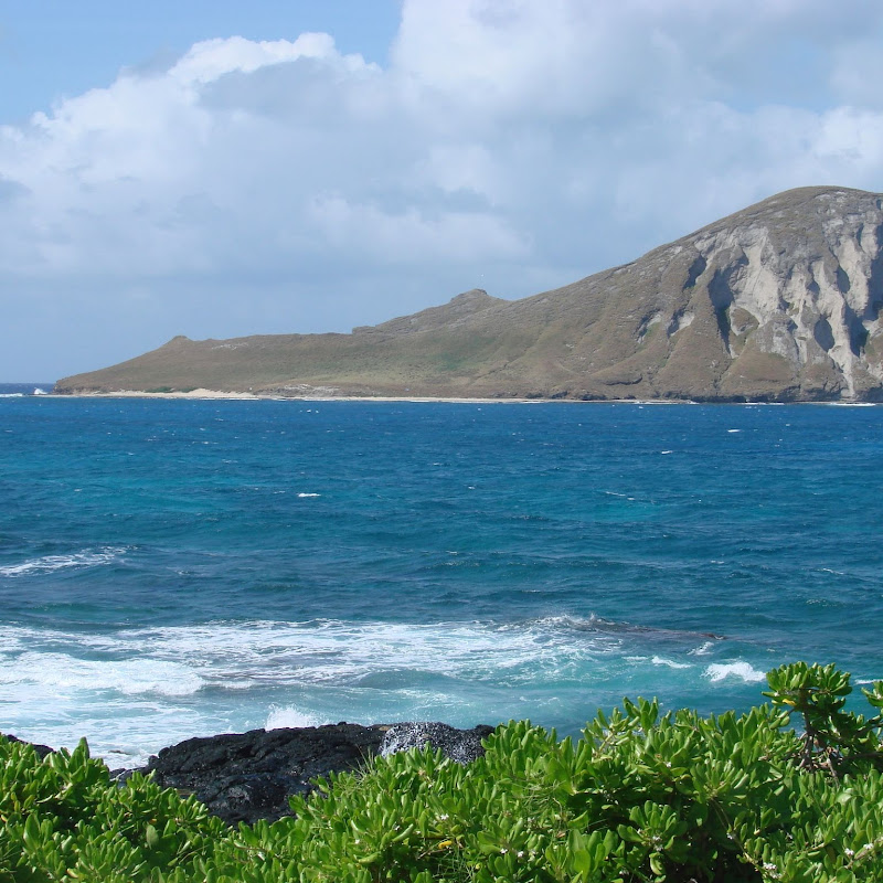 sspHawaii