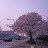 @user-ic7oi9gs9r