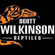 Scott Wilkinson Reptiles