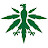 DeutscherHanfverband