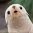 @user-ut1ib1tr4x