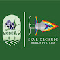 SKVLMoreA2 logo