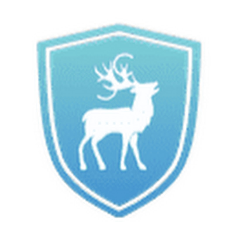 Cyber Chasse
