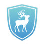 Cyber Chasse logo