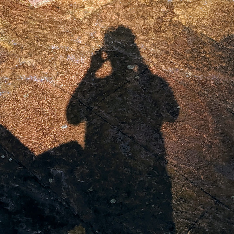 Lasting Wander