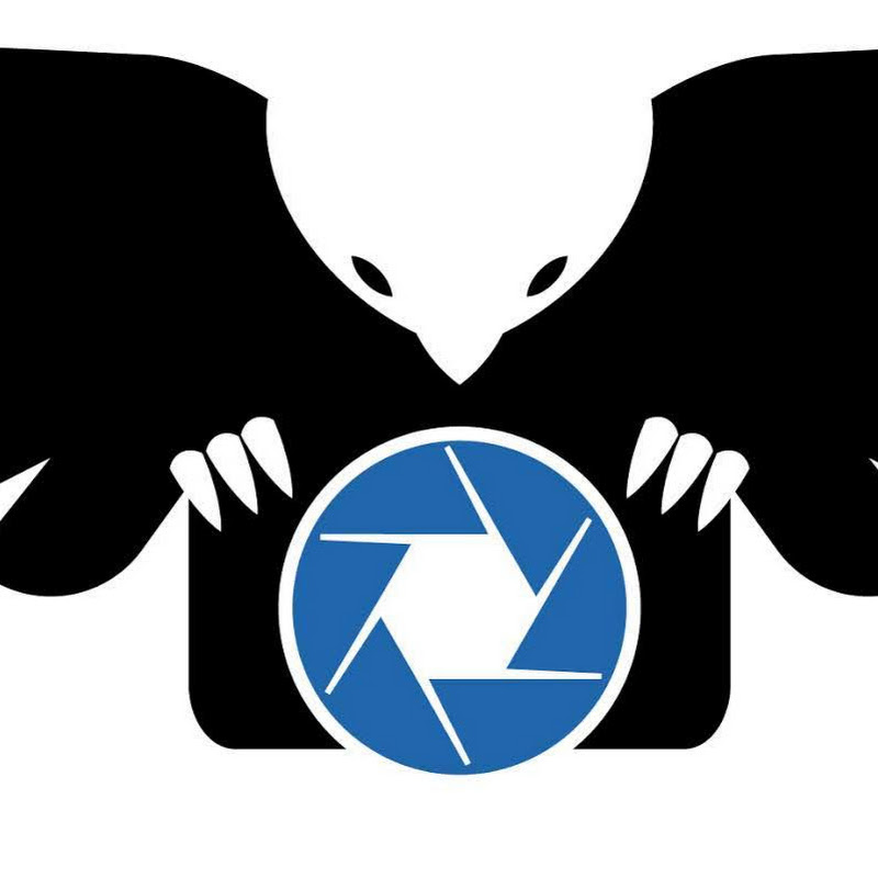 Fenix Redes Media