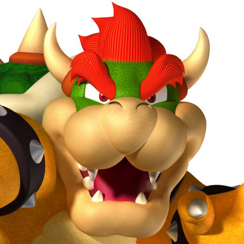 Super Bowser Fan 2005