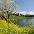 8kwxDTvF8Jk-channel-avatar-TOWN WALKING JAPAN