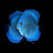 @aquahobby1982 Avatar