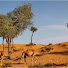 EqdMYJup_Ys-channel-avatar-اسرار من قلب الطبيعة