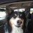@davidbrown5148's avatar