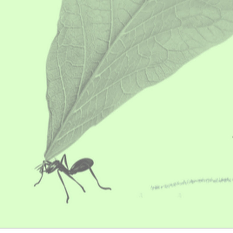 MicroGiants
