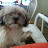 @markparker3783 Avatar