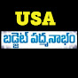 USA Budget Padmanabham logo