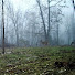 nV9WjDRpxJE-channel-avatar-Foggy Ridge Farm and 2 more