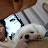 @50대한국아줌마호기심