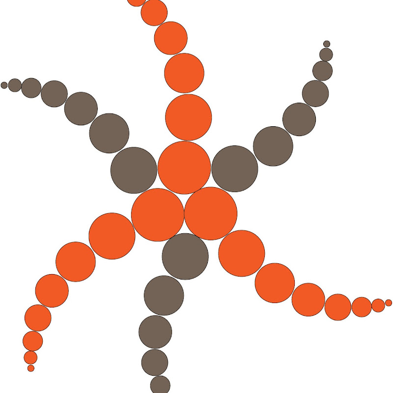 Security Privacy Risk icon