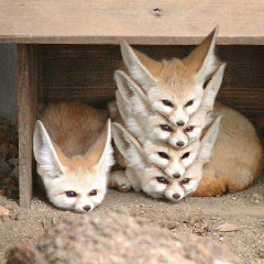 ωすび