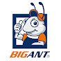 Bigant Crate USA logo