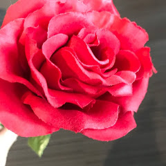 ホルン金管楽器アイコン画像