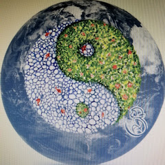 Earth Monkey Energies