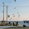 Автор