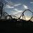 @owendooley1359's avatar