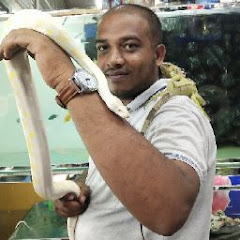 Karnataka Aquarium net worth