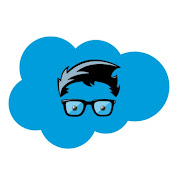 Salesforce Geek