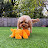 @w3dal Avatar