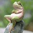 ftQKBG6lfqw-channel-avatar-Cradle of Anal