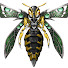 nStvM1e6USQ-channel-avatar-STG Archive
