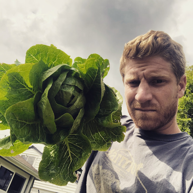 kc veggies
