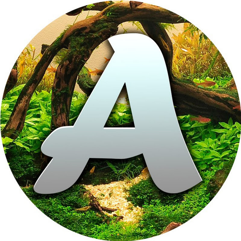 Акватория - аквариумистика от А до Я Logo