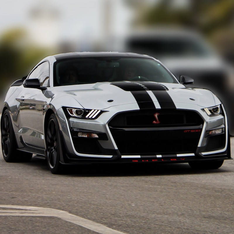 Iconic Shelby