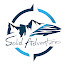 3EUDZGTlpl0-channel-avatar-Solid Adventures