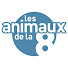 adEb37LLG7Q-channel-avatar-Les animaux de la 8