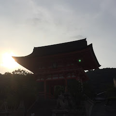 愚蓮