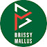 8t3wZHEeXoc-channel-avatar-Brissy Mallus