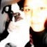 h9cyZo7fYug-channel-avatar-owlicat