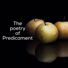 The Poetry of Predicament net worth