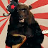 oK53eT5NwmU-channel-avatar-TheComradeRussia