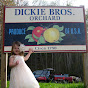 Dickie Brothers Orchard logo