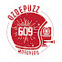 le_cYHWKJ-Q-channel-avatar-OZ609 'ozdepuzz609'