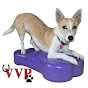 Valiant Vet Physio logo
