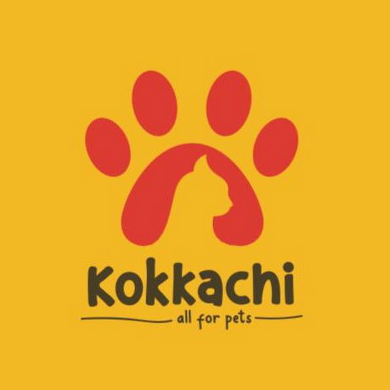 Kokkachi