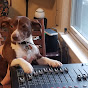TroxAudio