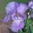 @purpleflower5319