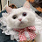 @user-hx7rt4gj1y