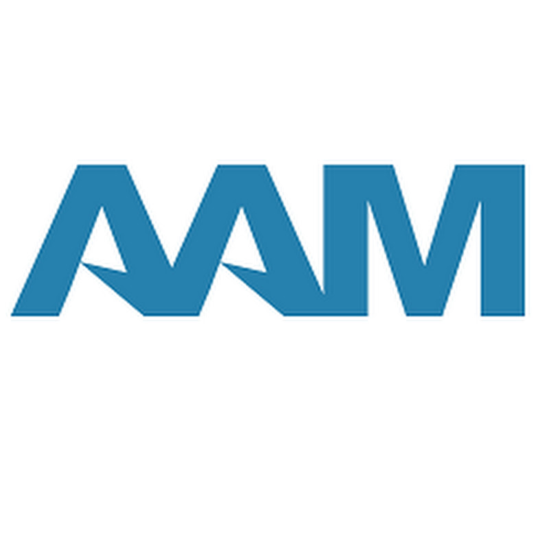 AAM - Insurance Investment Management